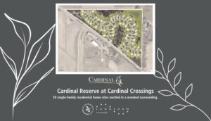 Cardinal Reserve At Cardinal Crossing Cottage Grove Minnesota Landform