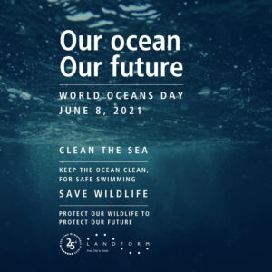World Oceans Day Sustainable Living Oceanlife Landform Minneapolis Minnesota.jpg