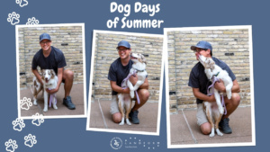 Dog Days Summer Landform Hiring Minneapolis Minnesota